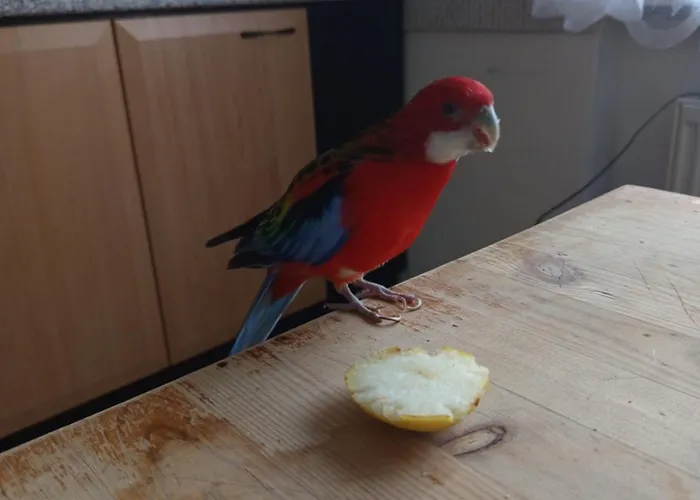 Na Pohodindu Usti nad Labem